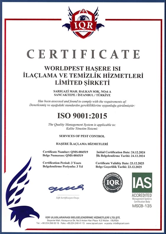 ISO 9001:2015 Belgesi
