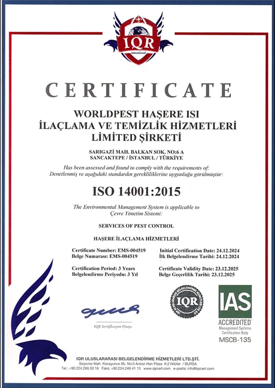 ISO 14001:2015 Belgesi