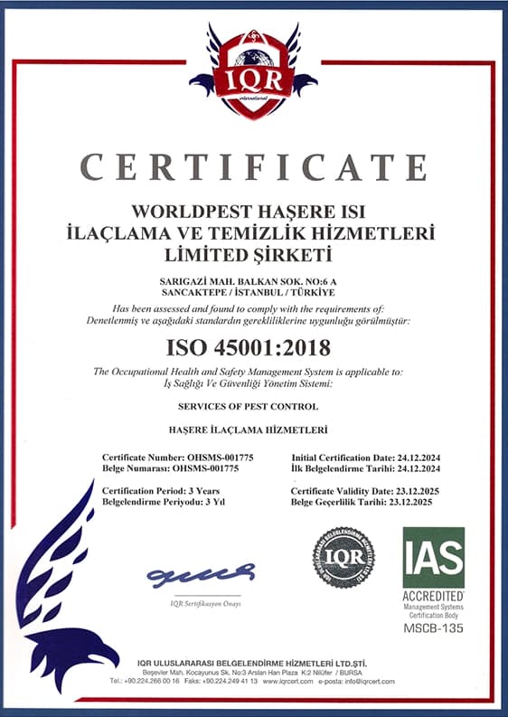 ISO 45001:2018 Belgesi